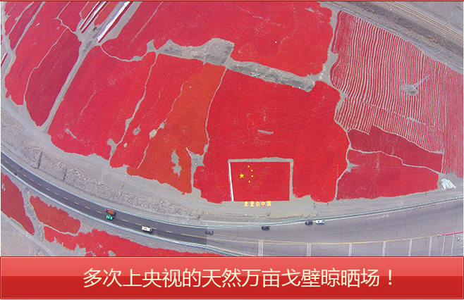 5a249b86ba437e0a2060ba0e1f28b40f.jpg 详情页9.jpg