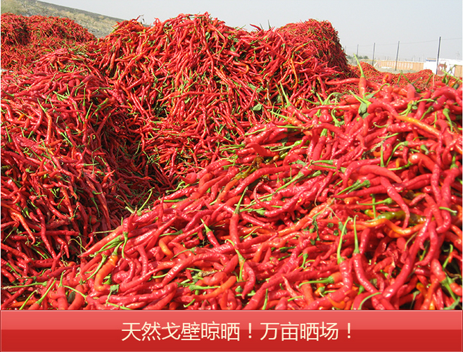 5deef437c3a678554e04516a37f8f62a.jpg 详情页5.jpg